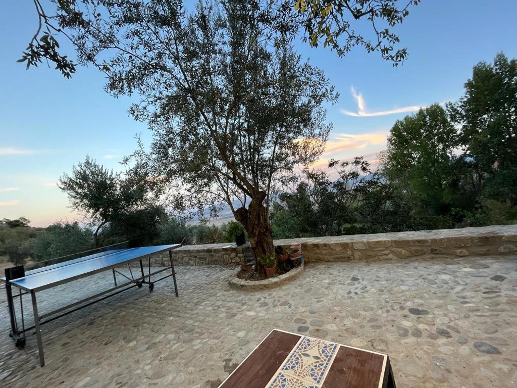 Casa De Campo Fuencaliente, Entorno Natural, Chimenea, Piscina Canete la Real 외부 사진